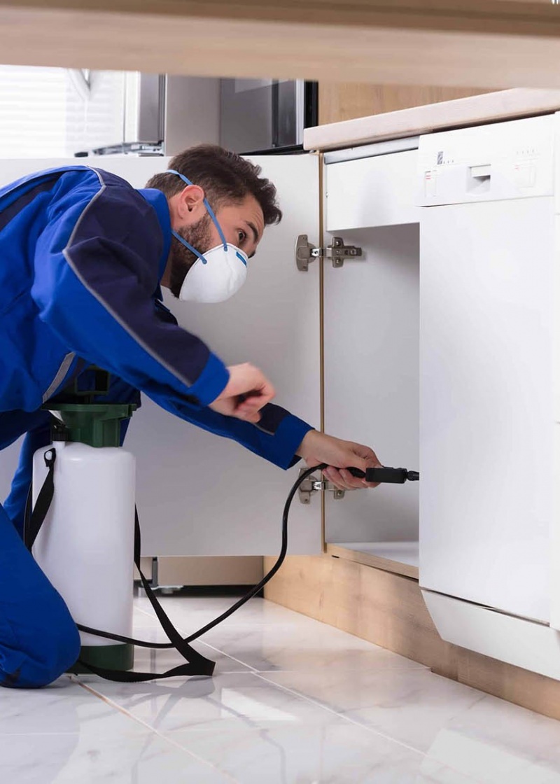 Pest Control Services