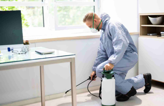 Pest Control Services (Corporate)