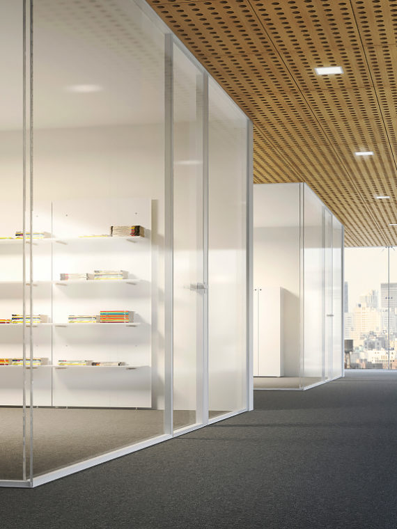 Partition with Doors & Windows