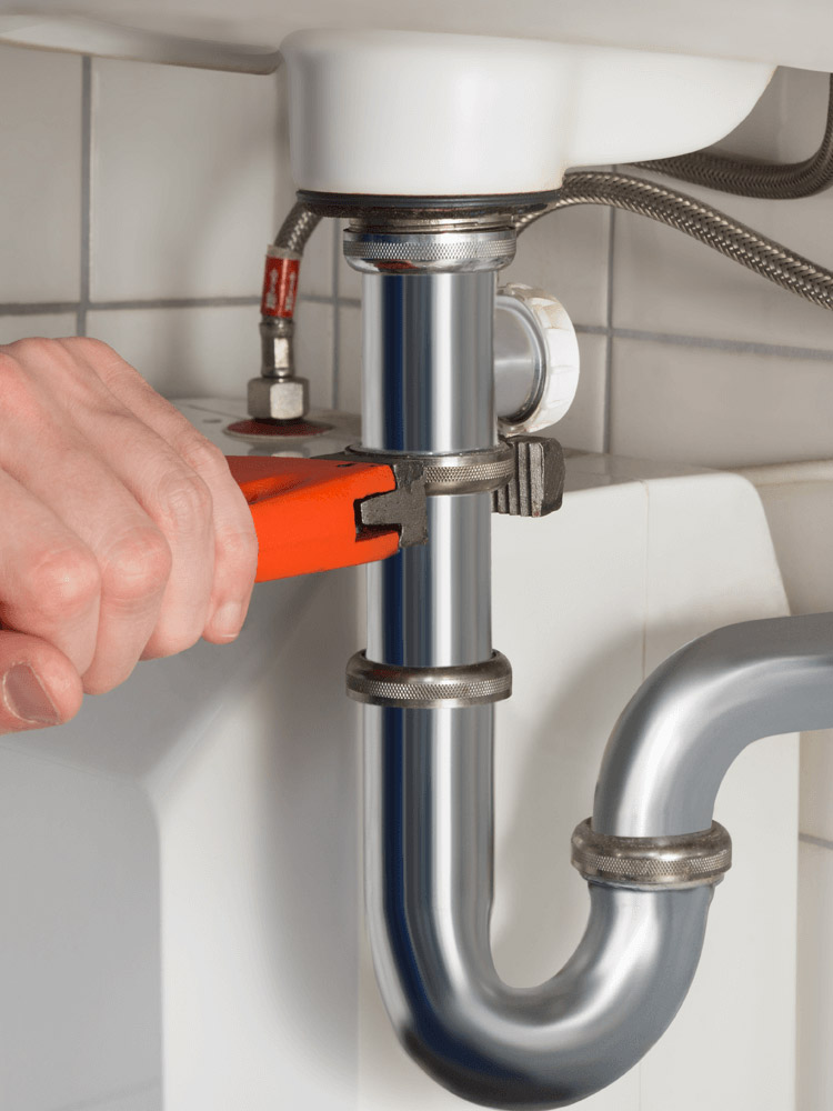 Electrical & Plumbing Systems