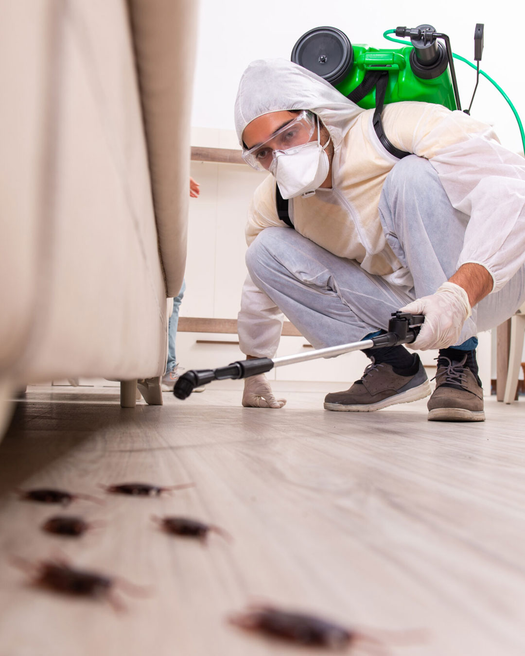Pest Control Services